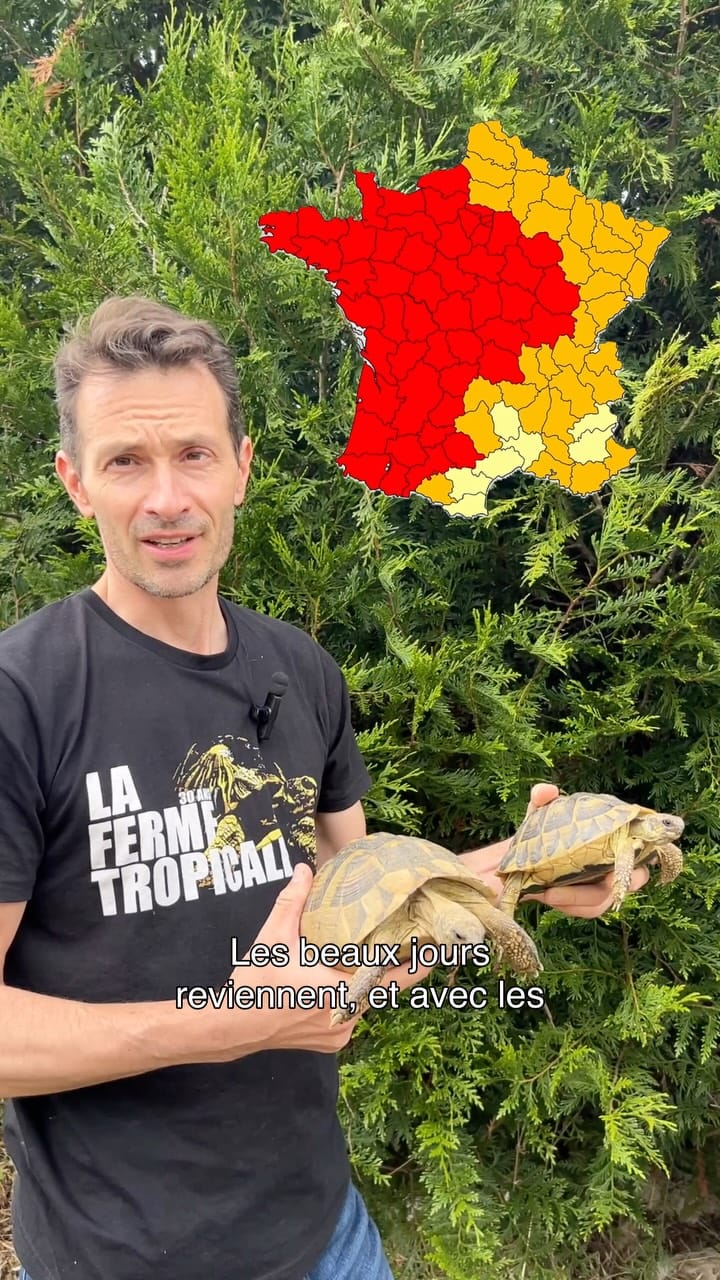 Post 4 by La Ferme Tropicale on Instagram (video)