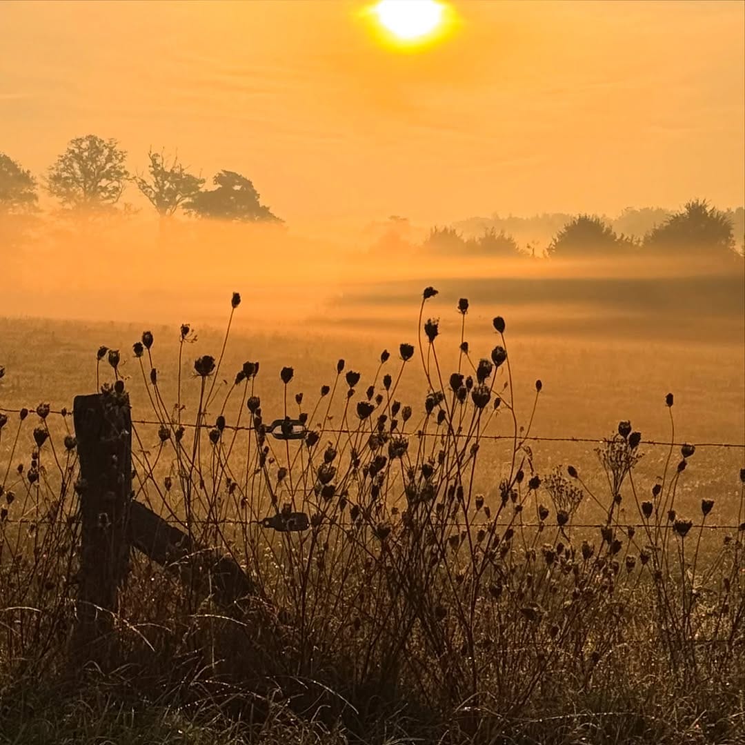 Post 6 by Annemieke Olden-van Diesen on Instagram (carousel)