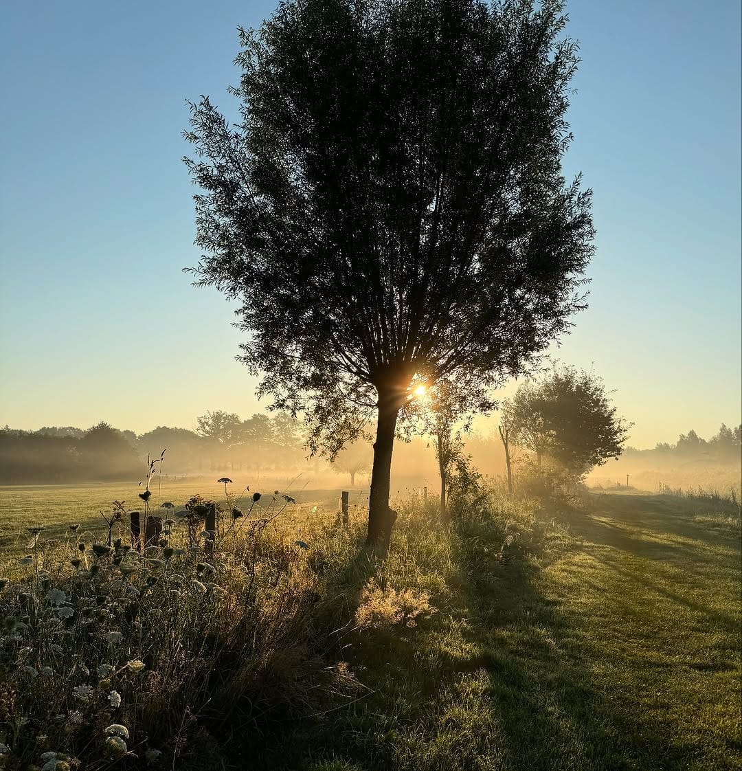 Post 8 by Annemieke Olden-van Diesen on Instagram (carousel)