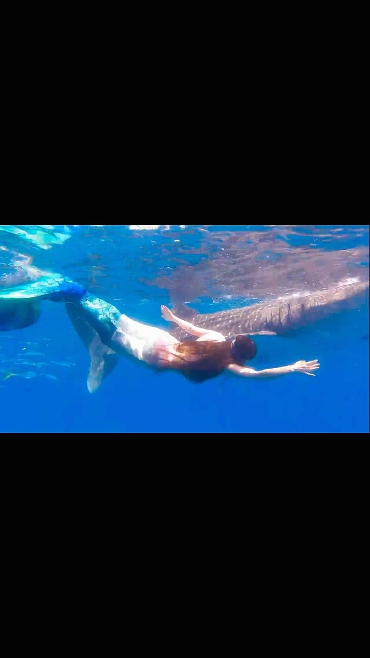 Post 9 by sayuka🧙💖🌎✨ on Instagram (video)