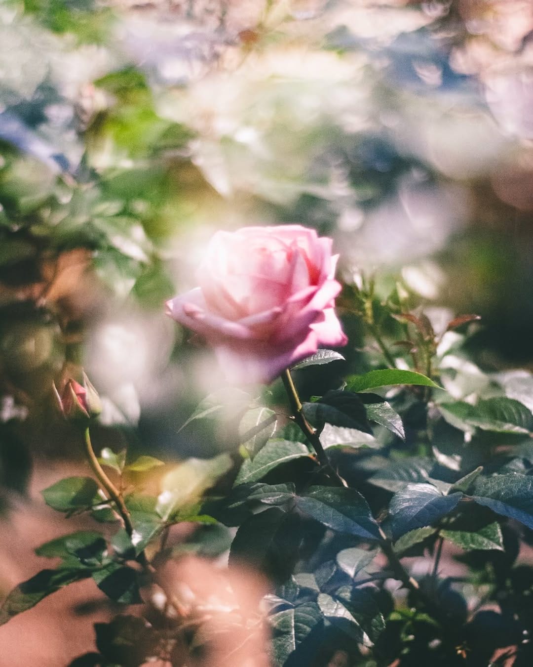 Post 6 by 数野 多久光｜Takumitsu Kazuno on Instagram (image)