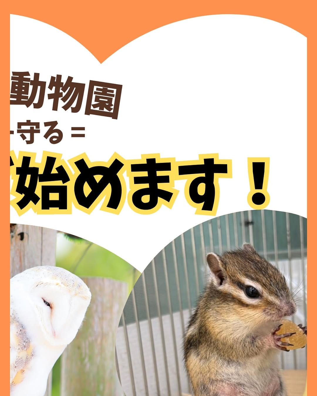 Post 10 by タケガワふれあい動物園　園長🐴 on Instagram (image)