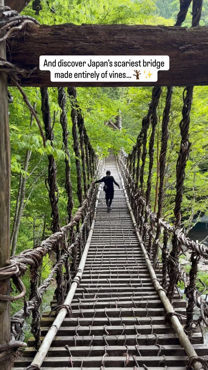 Post 7 by Ryo Sumita | Travel Filmmaker on Instagram (video)