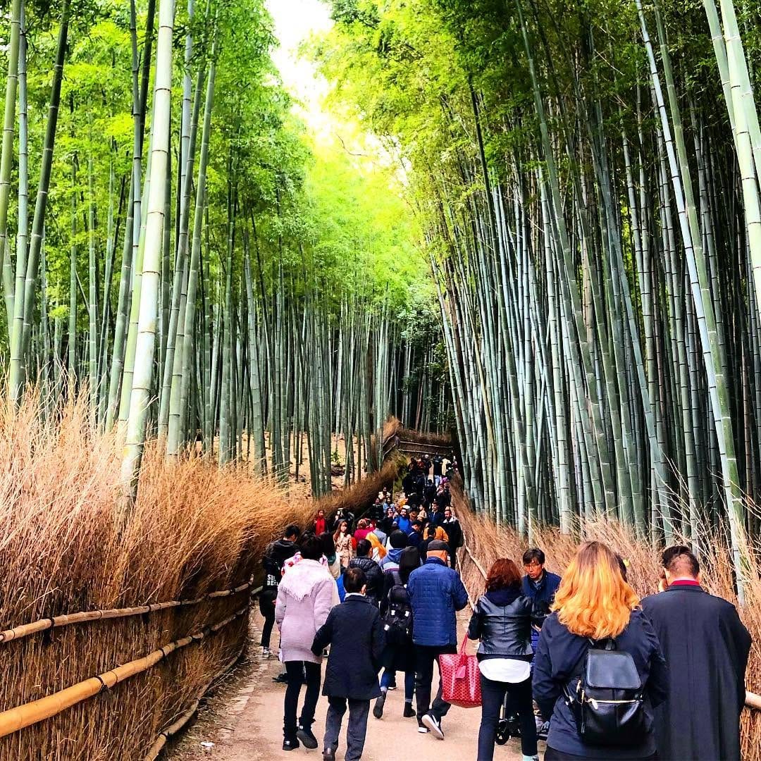 Post 10 by Let's discover Japan together on Instagram (image)