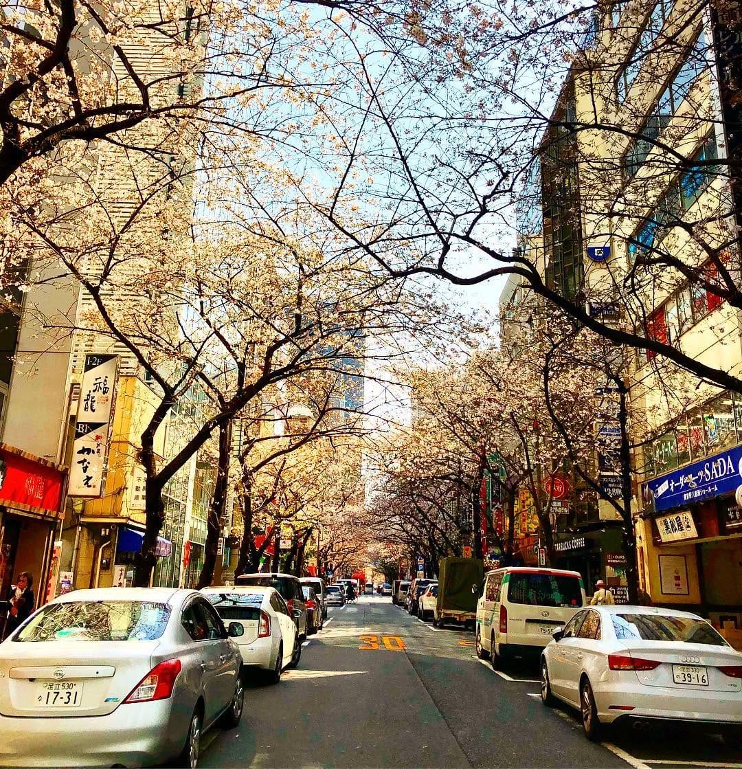 Post 8 by Let's discover Japan together on Instagram (image)