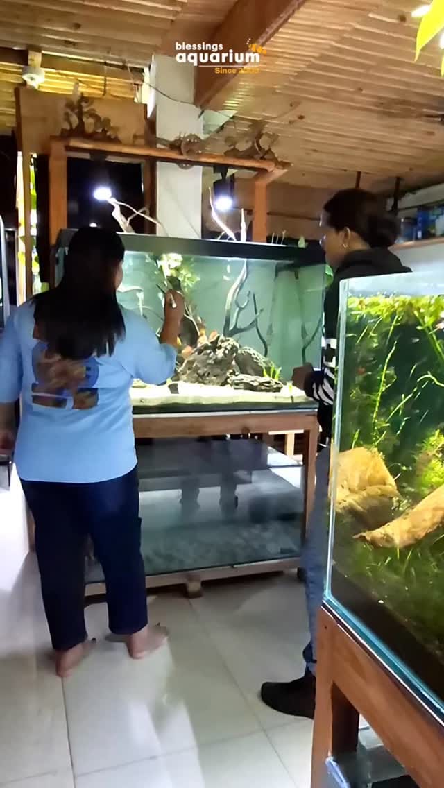 Post 2 by Dr. Aditee Kashikar on Instagram (video)