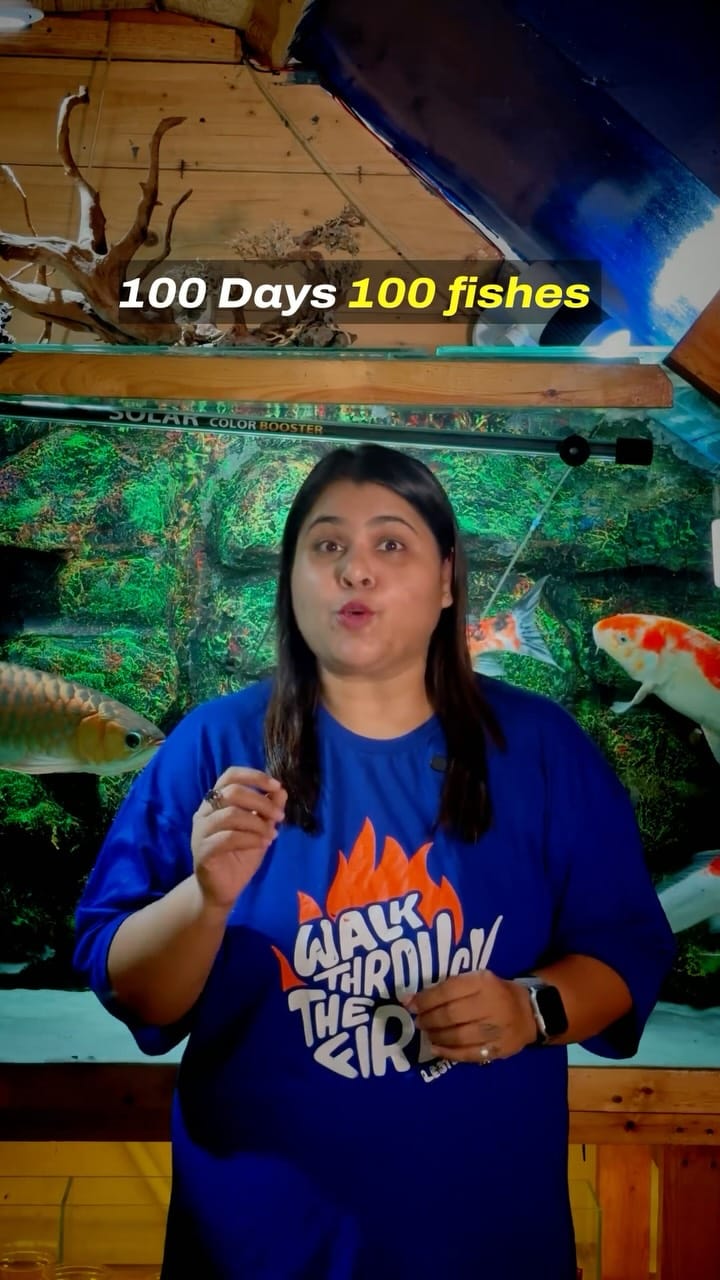 Post 3 by Dr. Aditee Kashikar on Instagram (video)