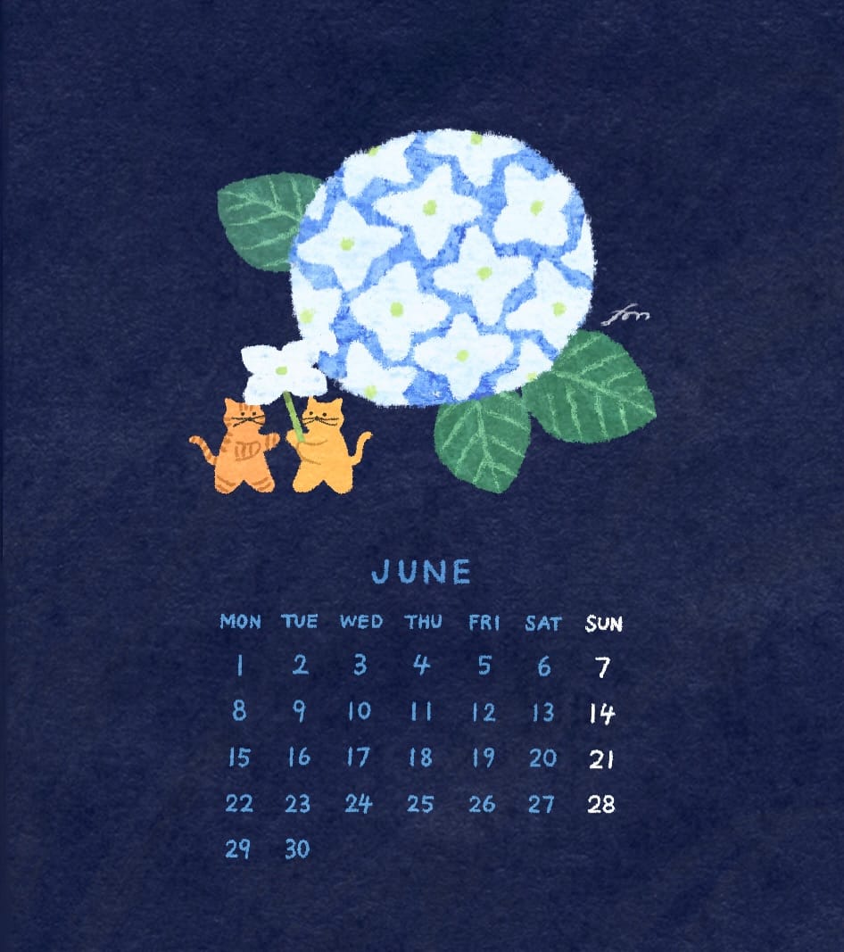 Post 3 by Mariko Fukuoka illustration on Instagram (carousel)