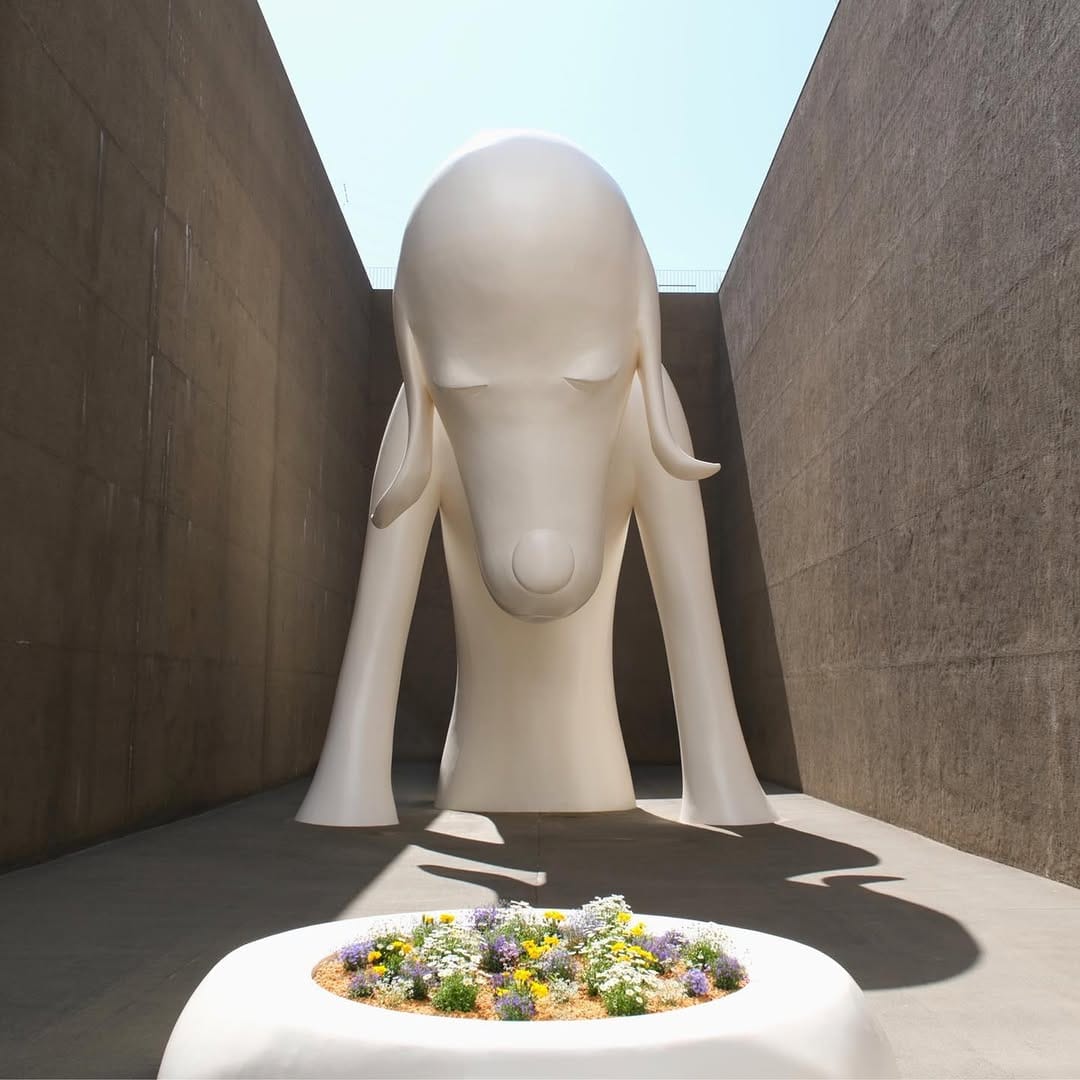 Post 7 by 現代アート美術館 on Instagram (image)