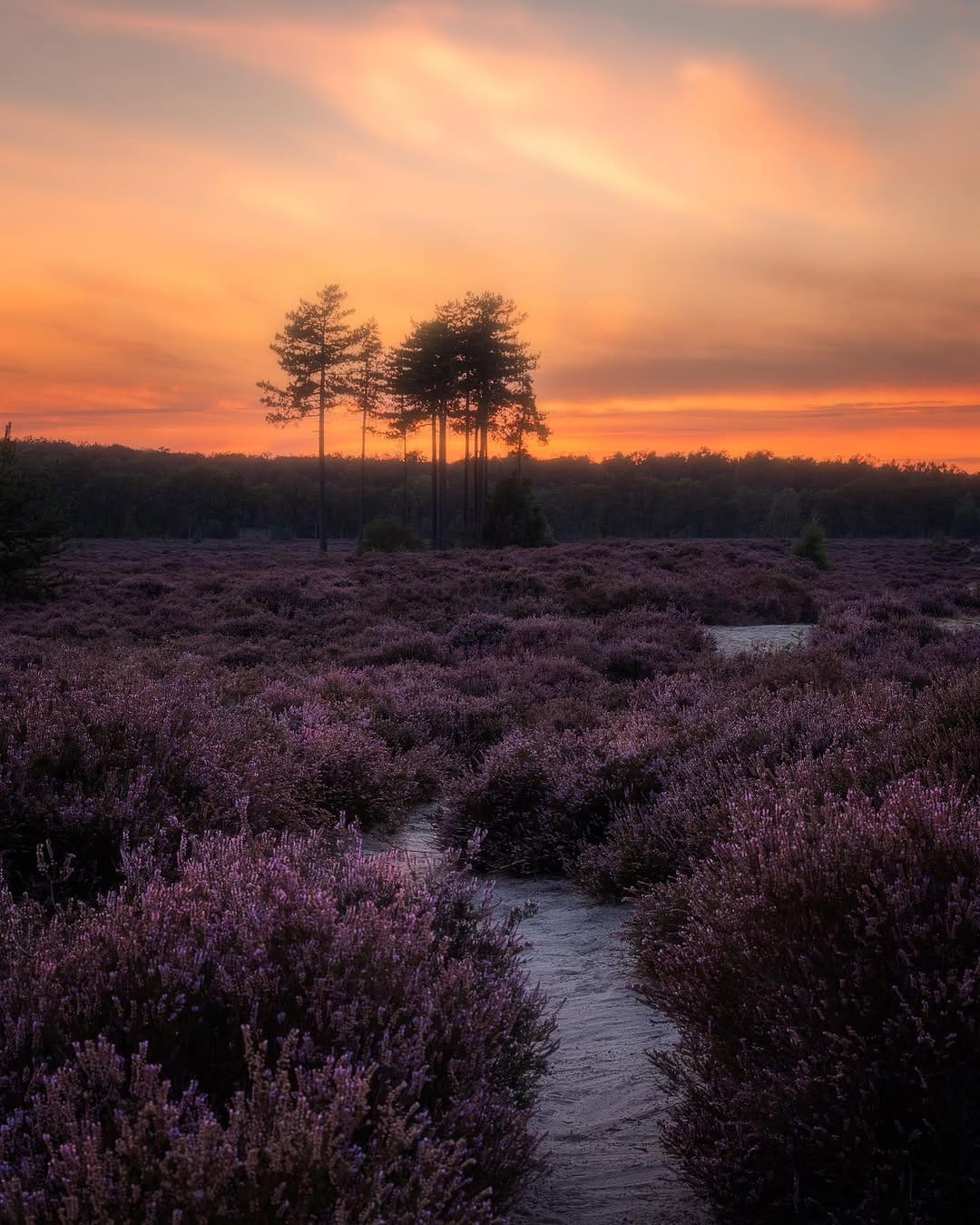 Post 2 by Guido Diana | 📍The Netherlands on Instagram (image)