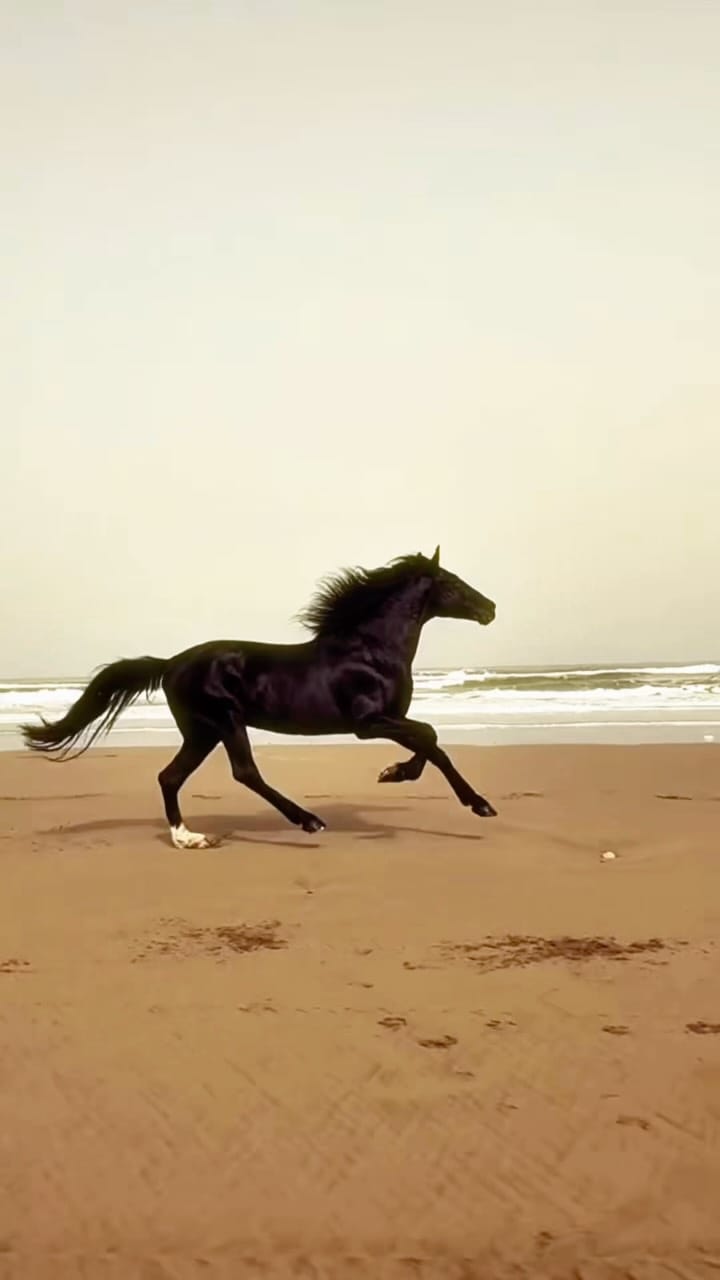 Post 2 by Deepak Kumar Ganta on Instagram (video)