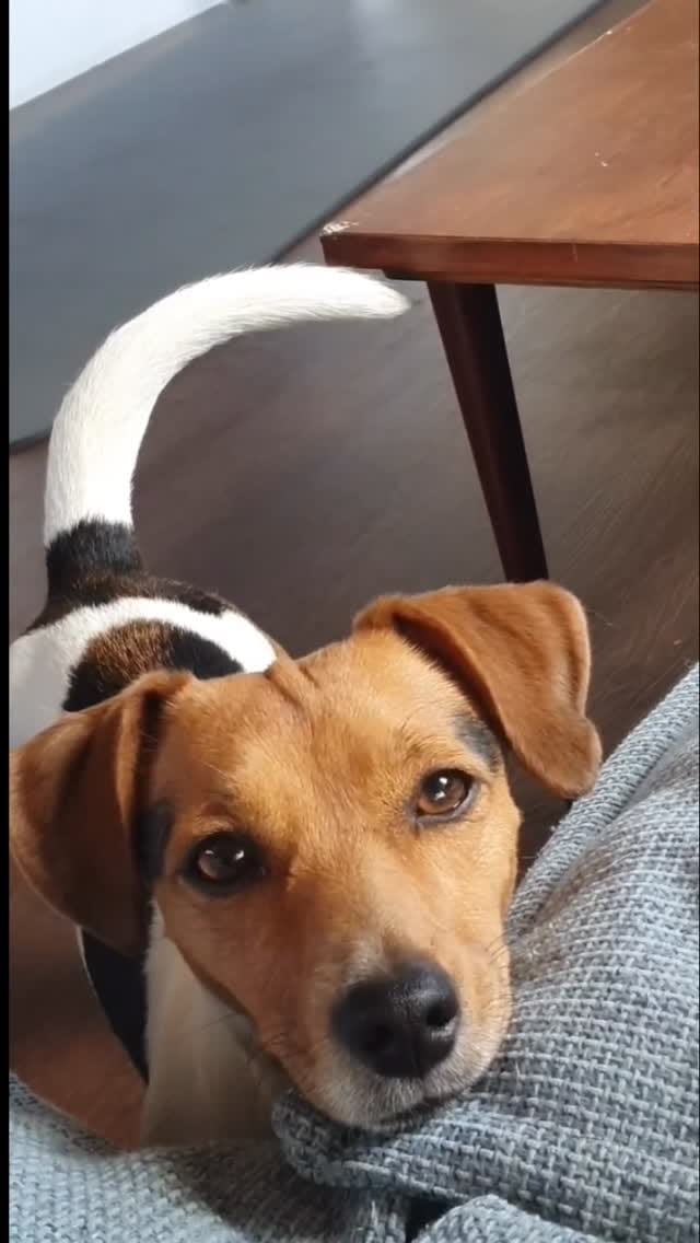 Post 6 by ☆ Kiki Dee ☆ on Instagram (video)