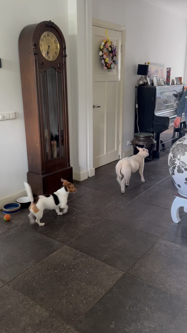 Post 9 by ☆ Kiki Dee ☆ on Instagram (video)