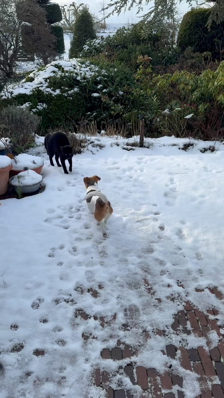 Post 4 by ☆ Kiki Dee ☆ on Instagram (video)