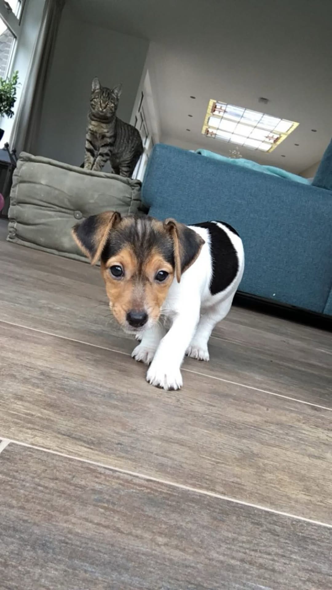 Post 7 by ☆ Kiki Dee ☆ on Instagram (video)