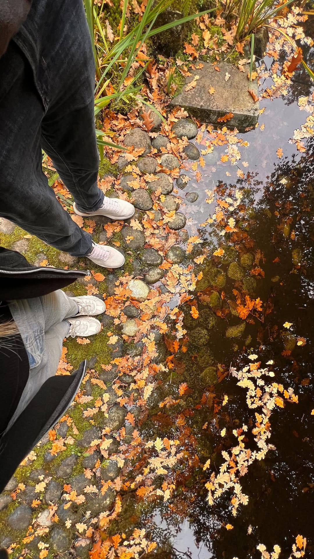 Post 3 by Tannaz on Instagram (video)