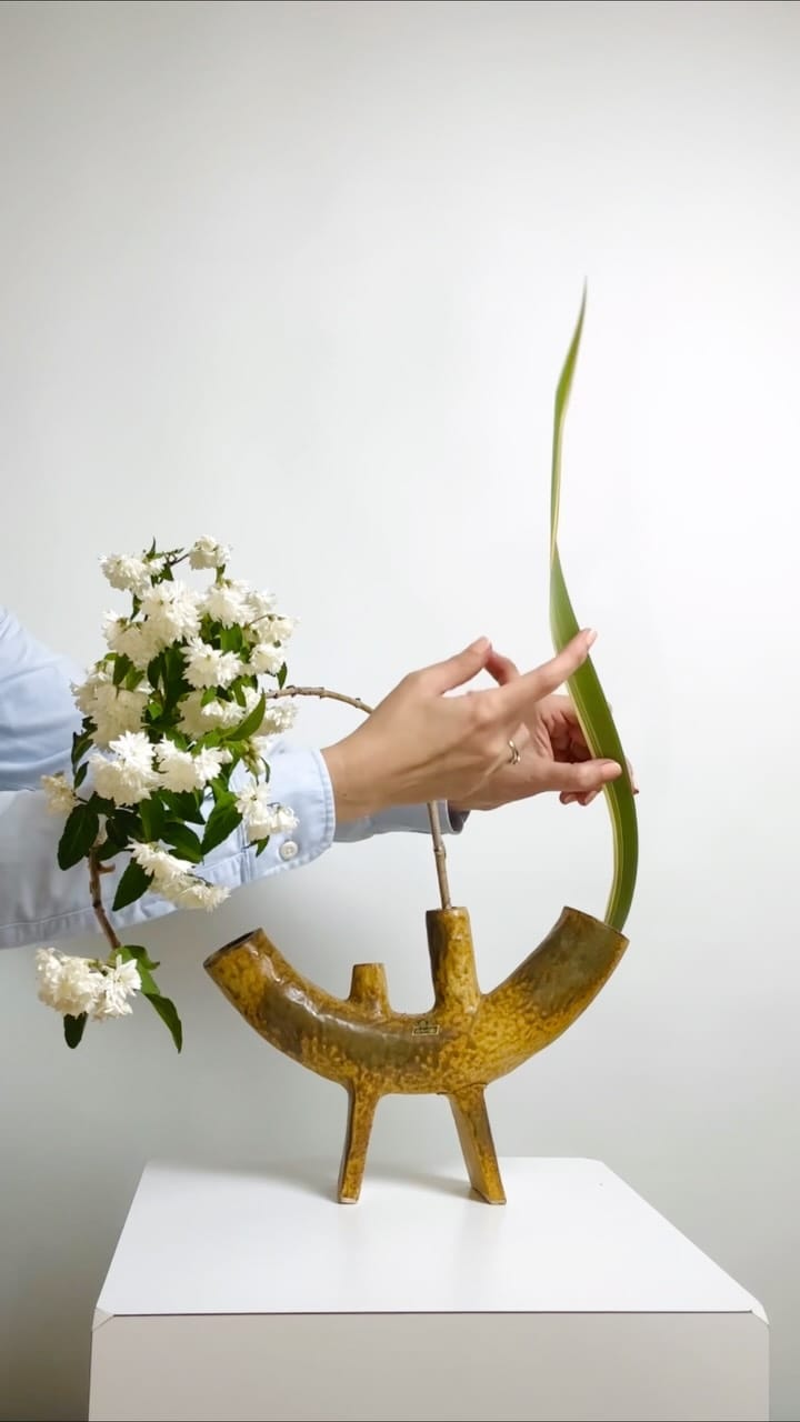 Post 5 by 5 SENSES on Instagram (video)