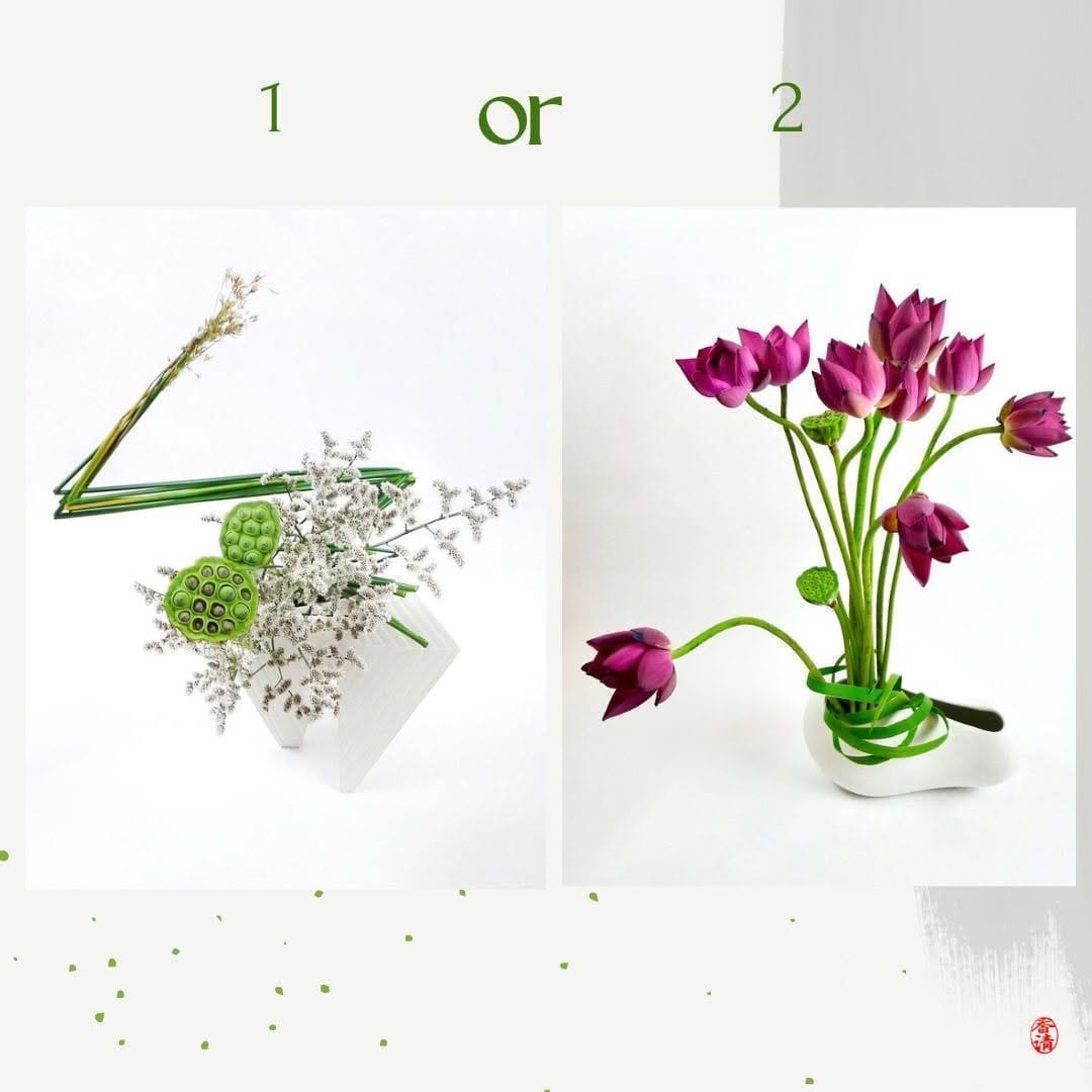 Post 4 by 5 SENSES on Instagram (image)