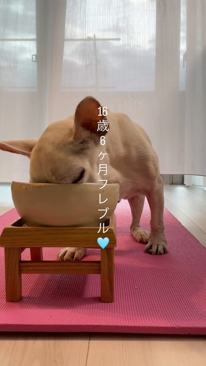 Post 6 by めぐ🅿️ on Instagram (video)