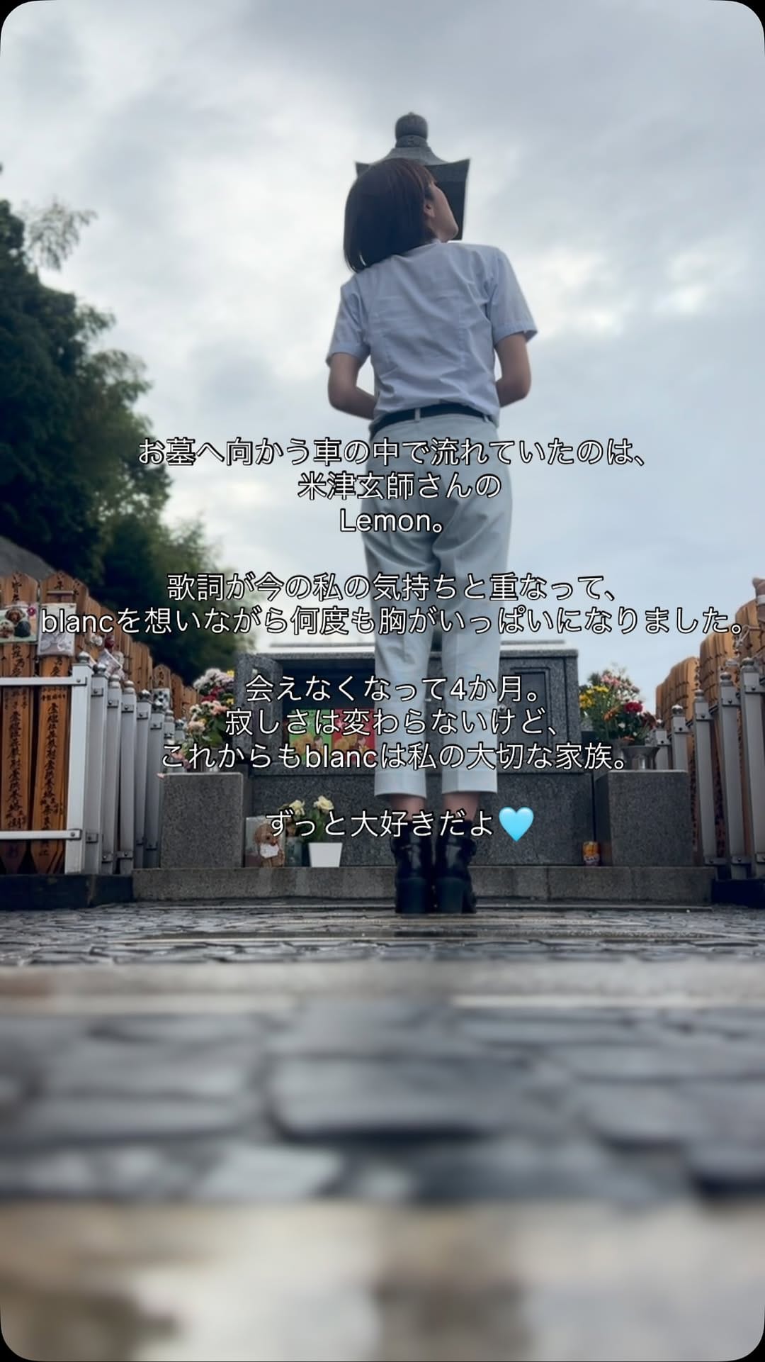 Post 4 by めぐ🅿️ on Instagram (video)