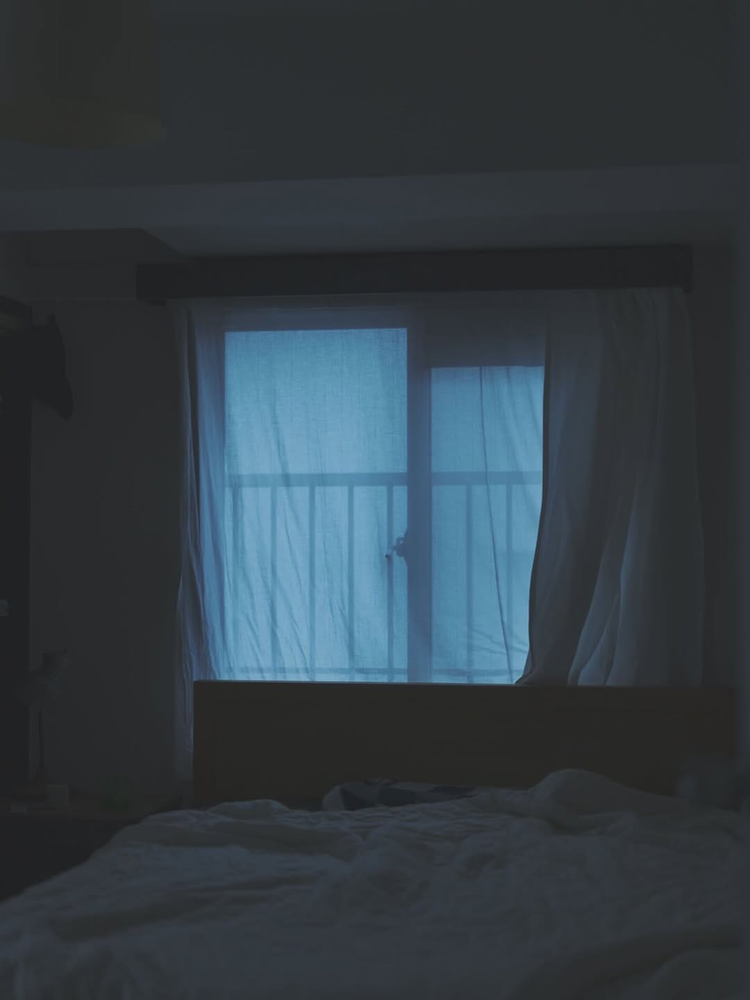Post 1 by Shuhei  Tonami on Instagram (image)