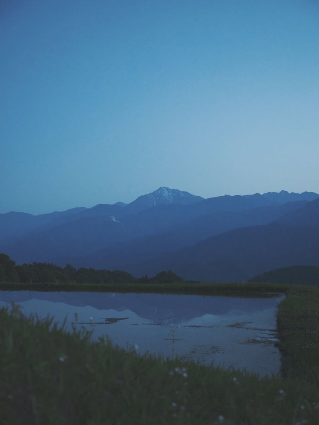 Post 2 by Shuhei  Tonami on Instagram (image)