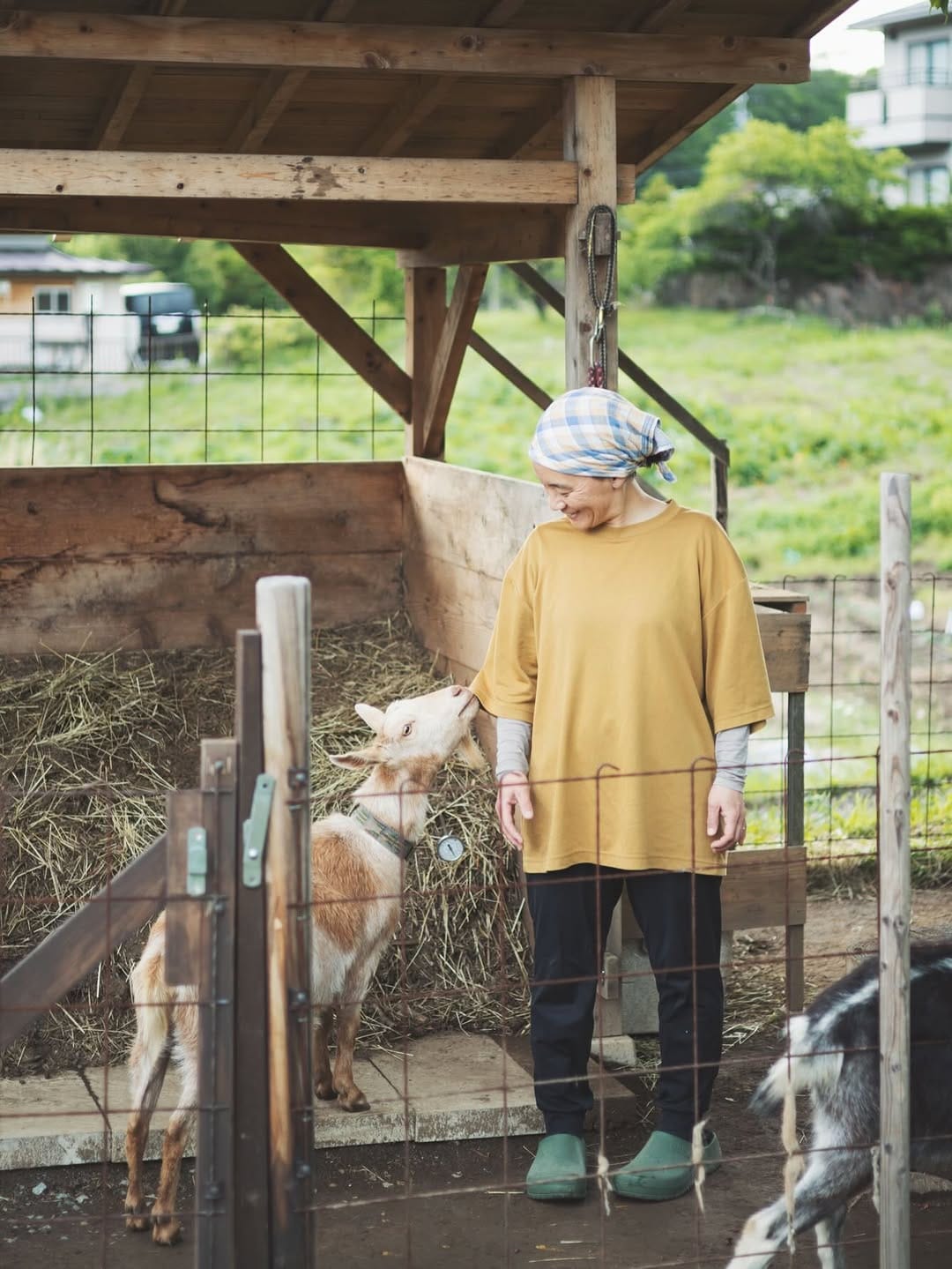 Post 5 by Shuhei  Tonami on Instagram (image)
