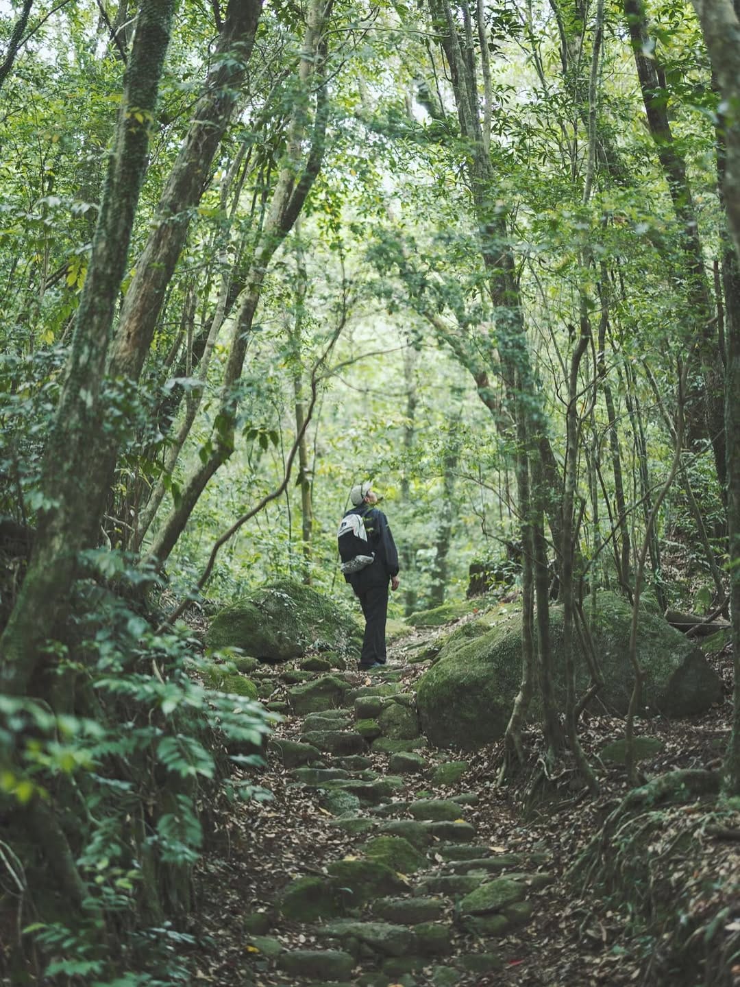 Post 3 by Shuhei  Tonami on Instagram (image)