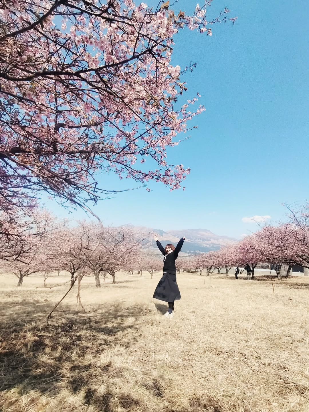 Post 7 by ヤスダユウキ@熊本福岡広告カメラマン on Instagram (image)