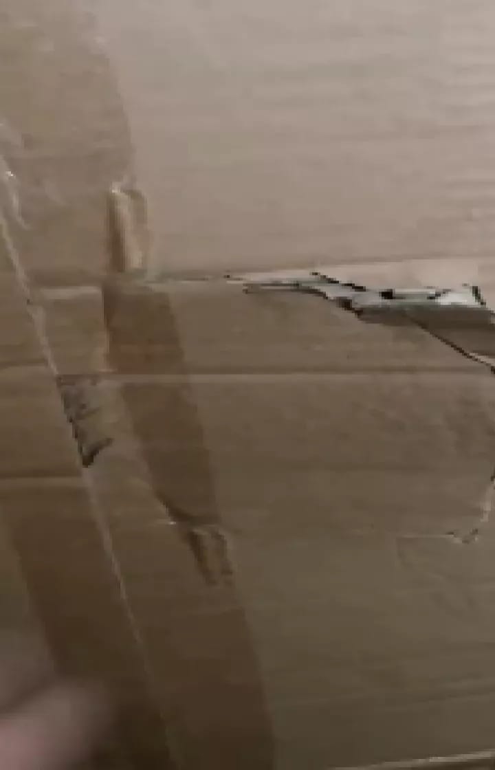 Post 6 by WeLoveCats on Instagram (video)