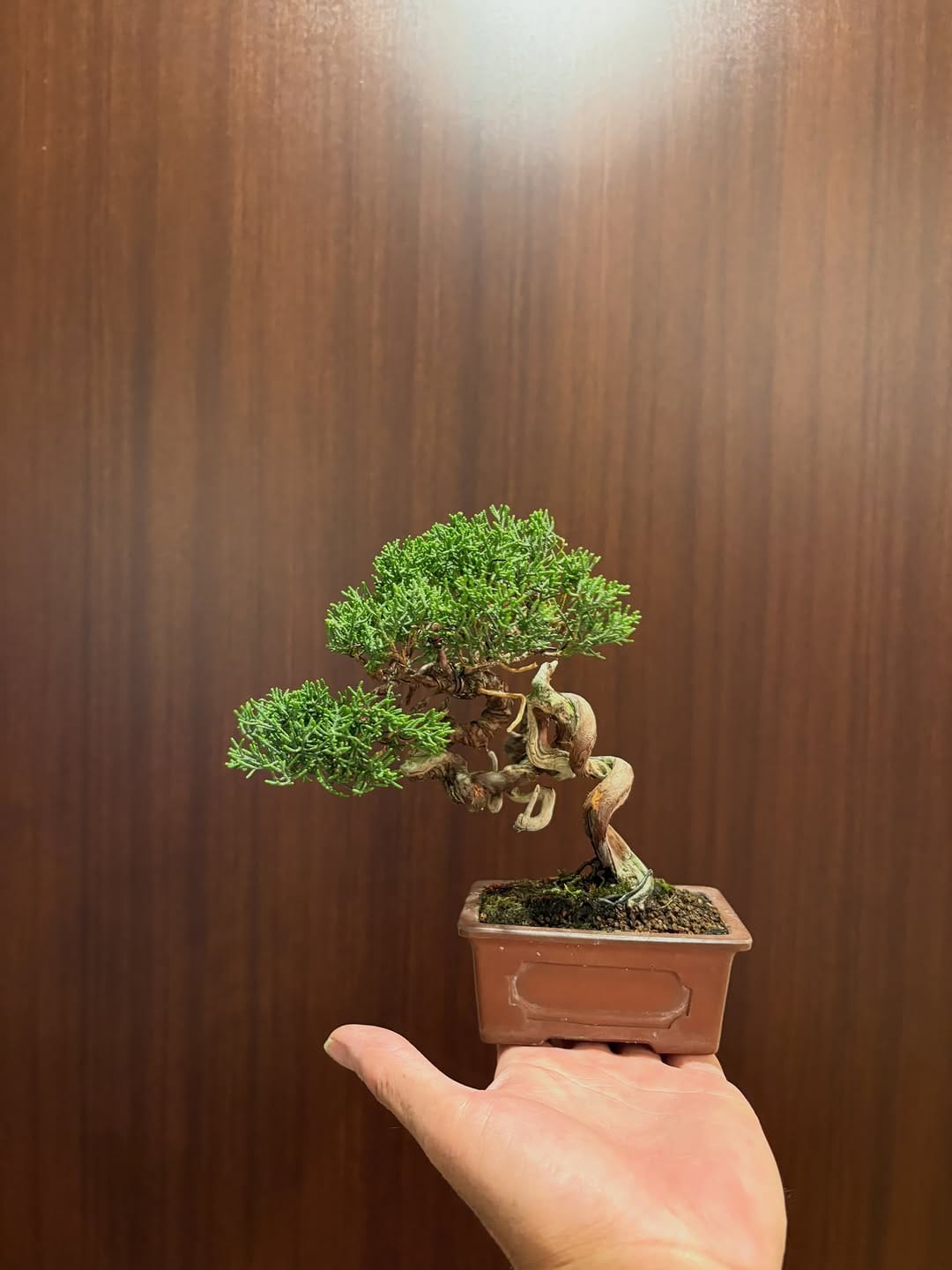 Post 8 by グッさん on Instagram (carousel)