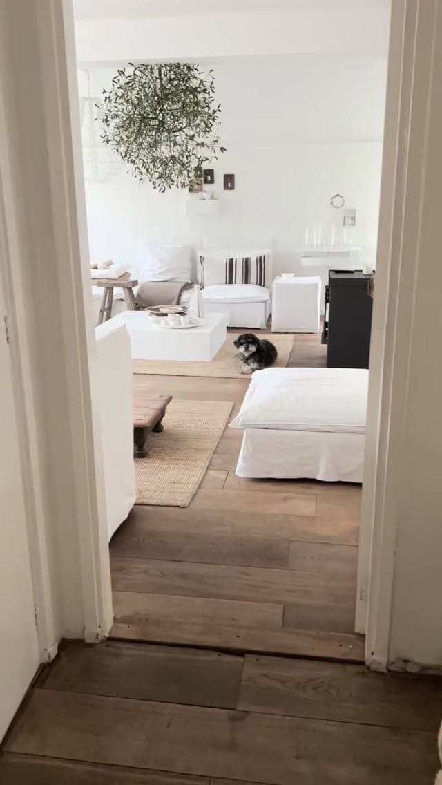 Post 6 by Janine on Instagram (video)
