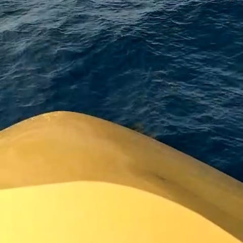 Post 9 by MY.Khalilah on Instagram (video)