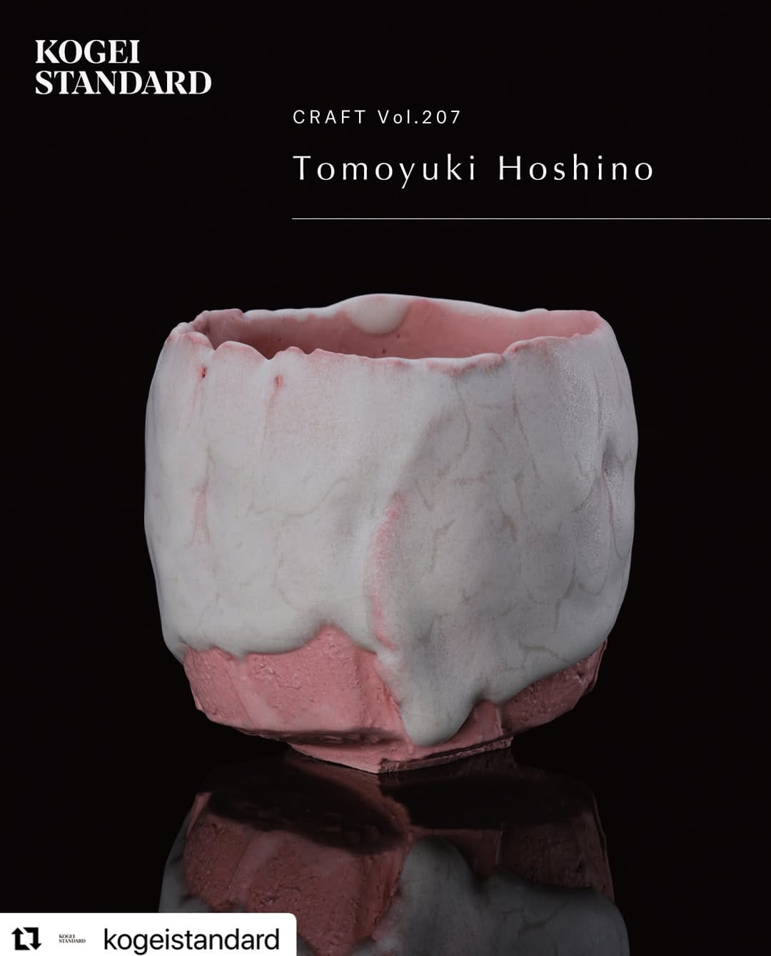Post 2 by Tomoyuki Hoshino on Instagram (image)