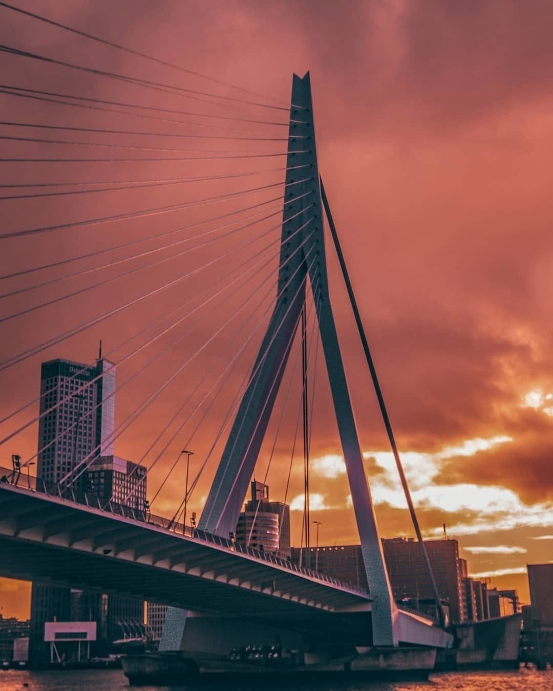 Post 10 by Go Rotterdam on Instagram (image)