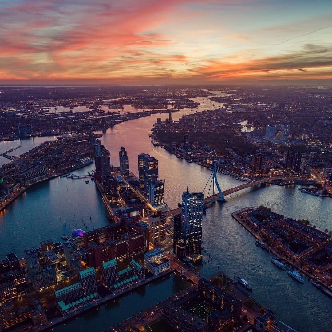 Post 9 by Go Rotterdam on Instagram (image)