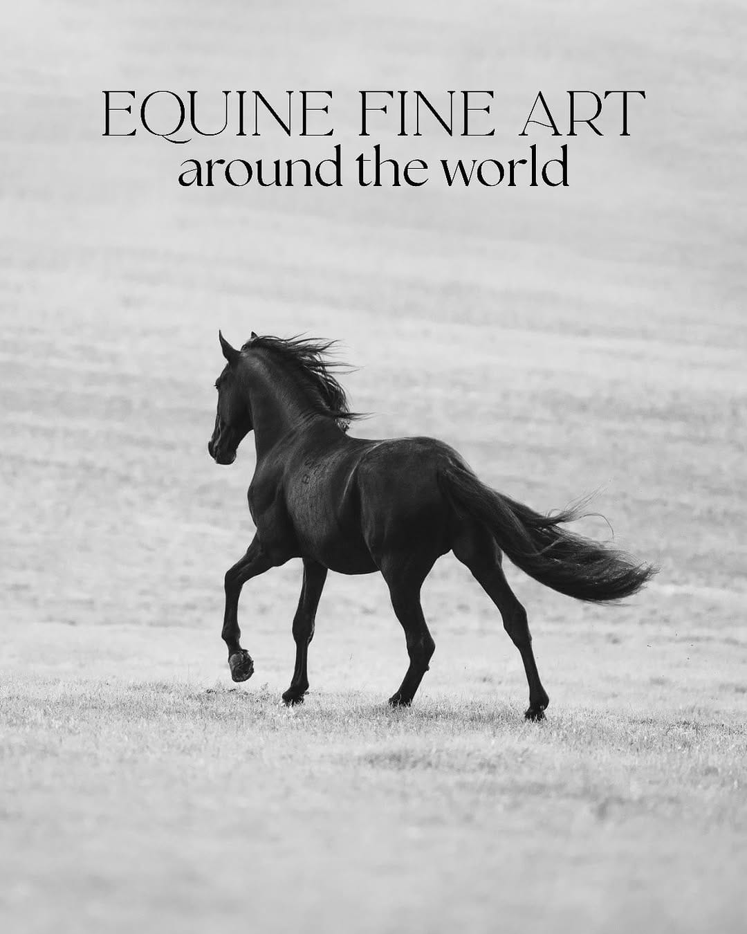 Post 1 by Equine photographer - Minh on Instagram (carousel)