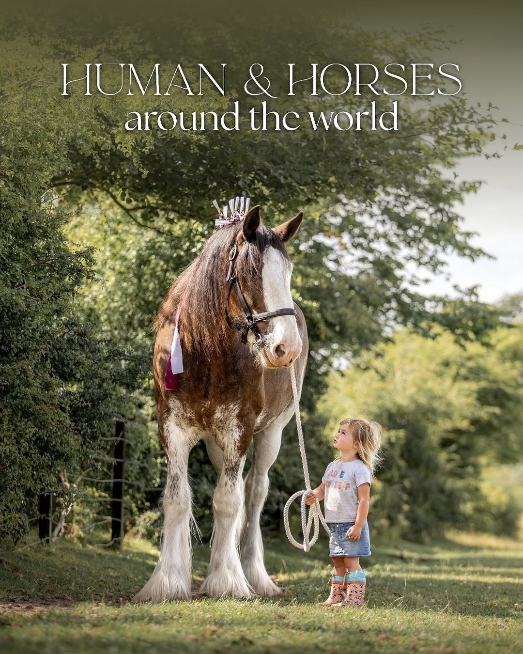 Post 3 by Equine photographer - Minh on Instagram (carousel)