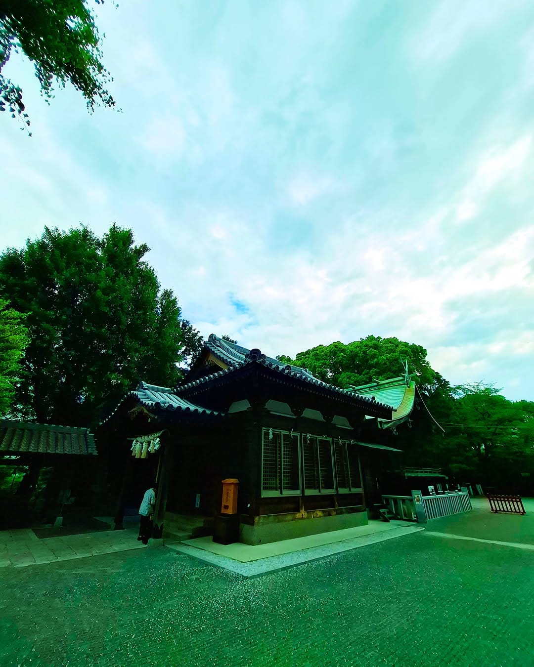 Post 8 by 持田 大輔 on Instagram (image)