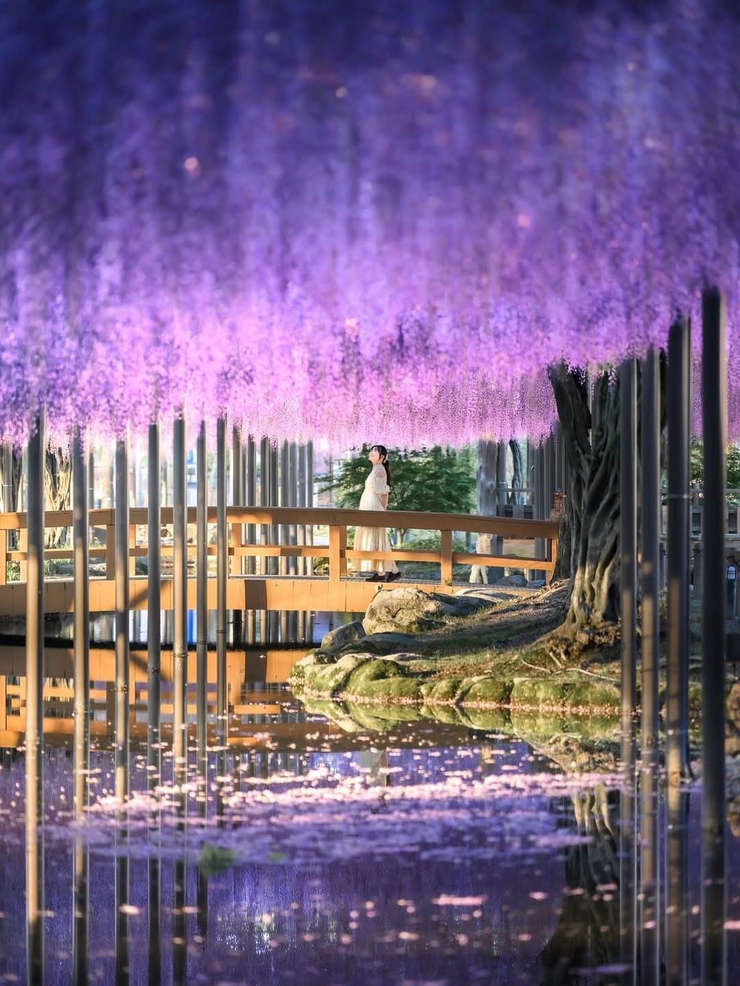 Post 9 by LOVE JAPAN,LOVE PIC on Instagram (image)