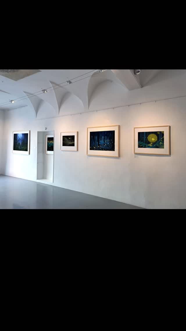 Post 6 by Kazuaki Koseki / 小関一成 on Instagram (video)