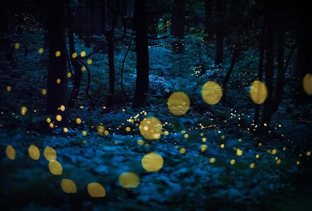 Post 3 by Kazuaki Koseki / 小関一成 on Instagram (image)