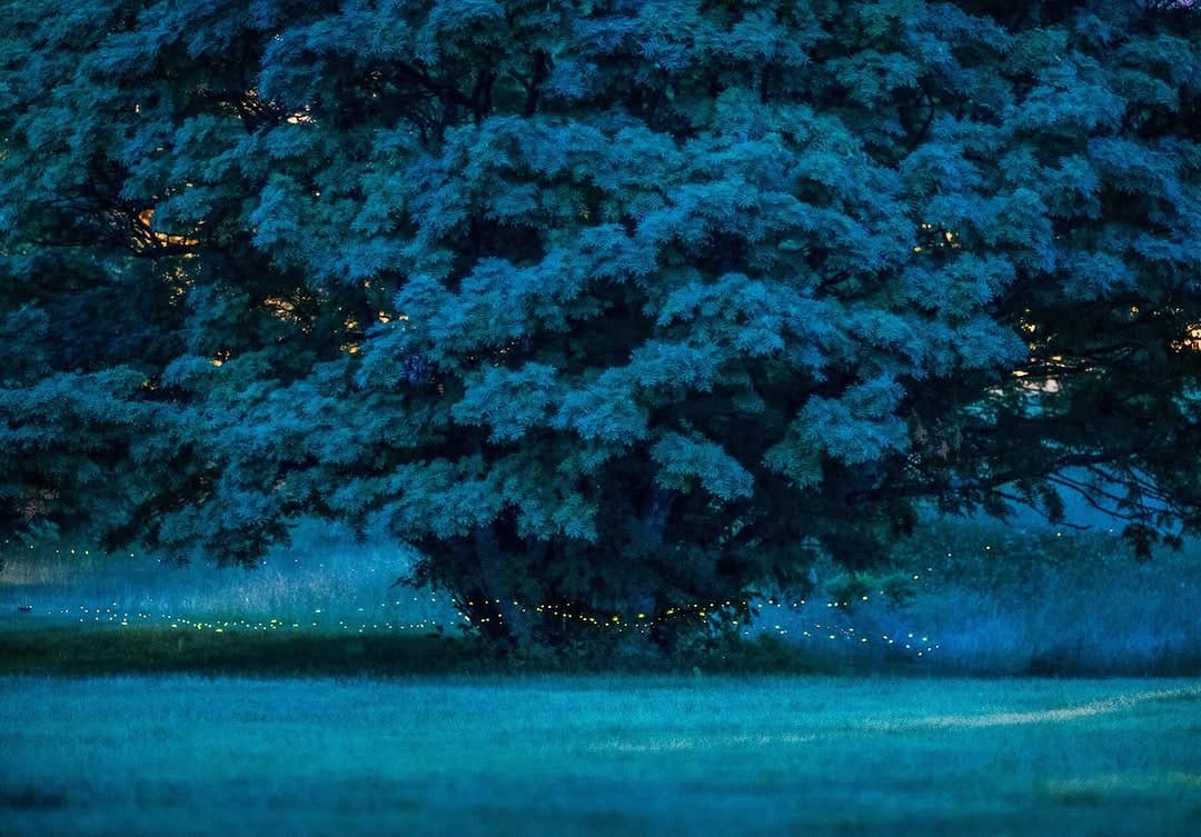 Post 4 by Kazuaki Koseki / 小関一成 on Instagram (image)