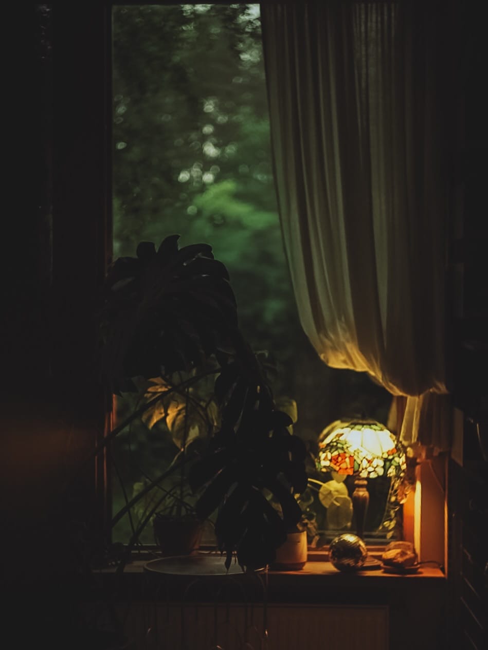 Post 6 by Aleksandra | Photographer | Estonia 🇪🇪 on Instagram (carousel)