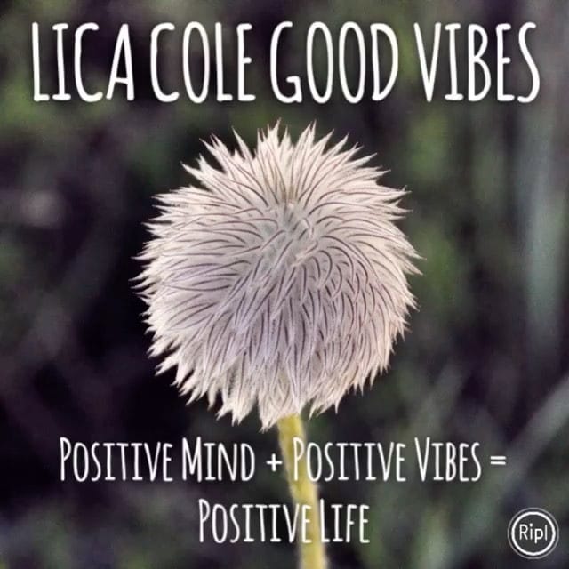 Post 1 by LICA COLE on Instagram (video)