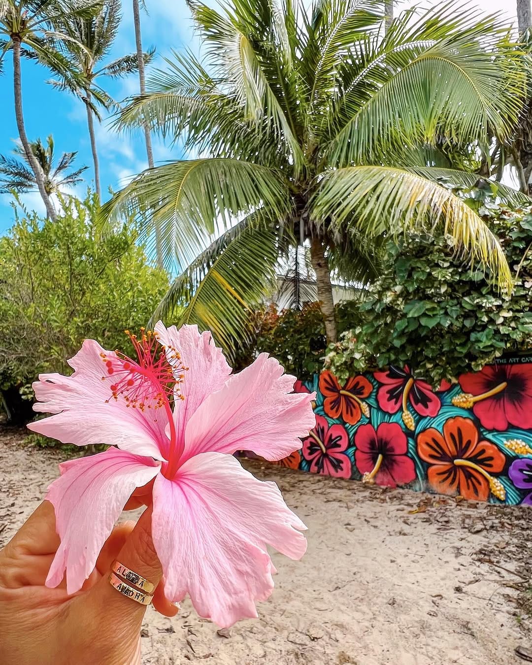 Post 9 by Misae🦄Hawai'i Lover🌈 on Instagram (carousel)