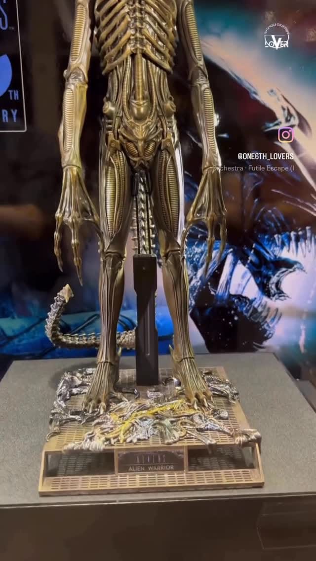 Post 4 by 𝚈𝚘𝚑𝚎𝚒 𝙴𝚗𝚍𝚘 on Instagram (video)