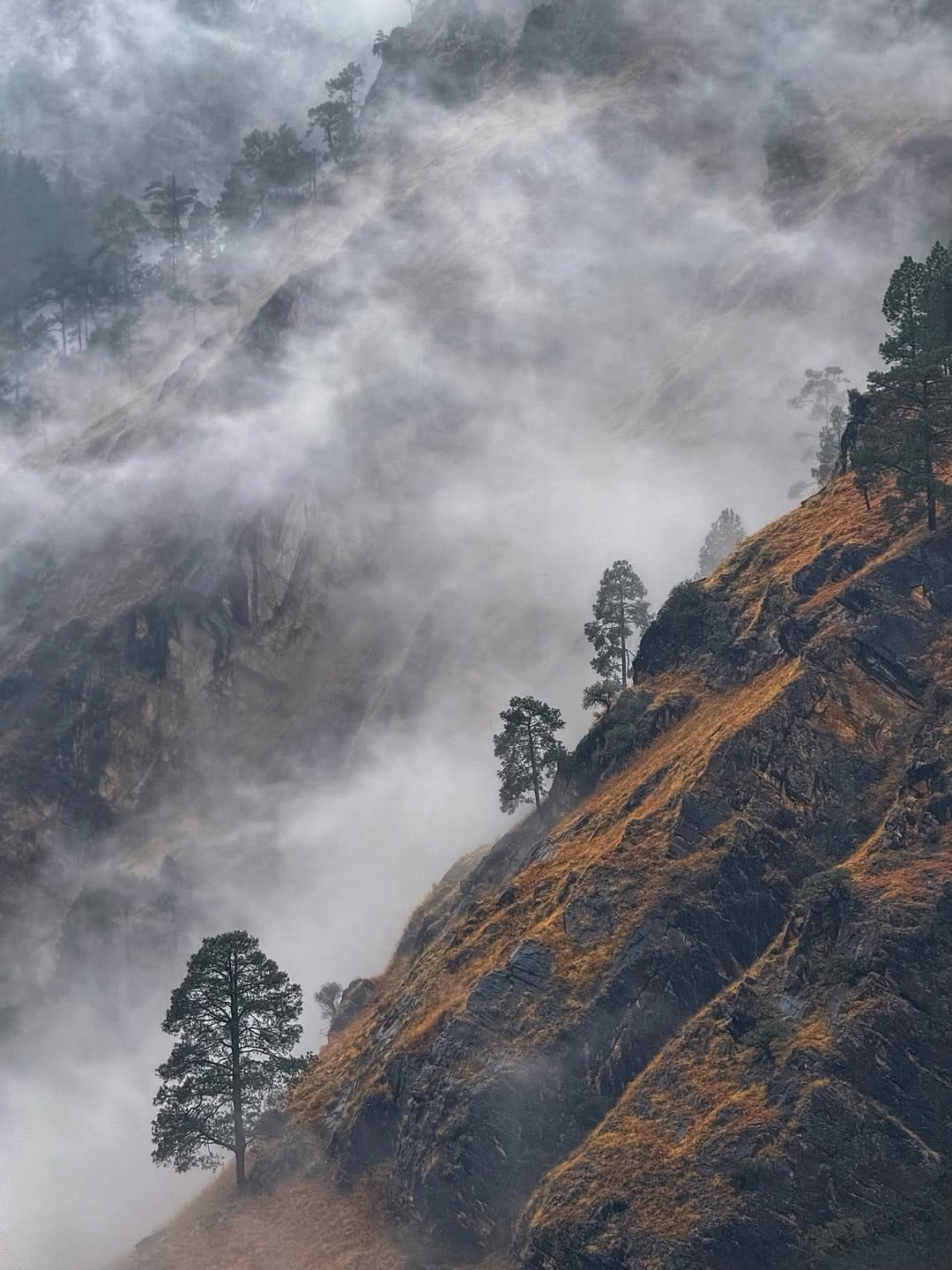 Post 10 by Vivekajeet Purohit on Instagram (carousel)