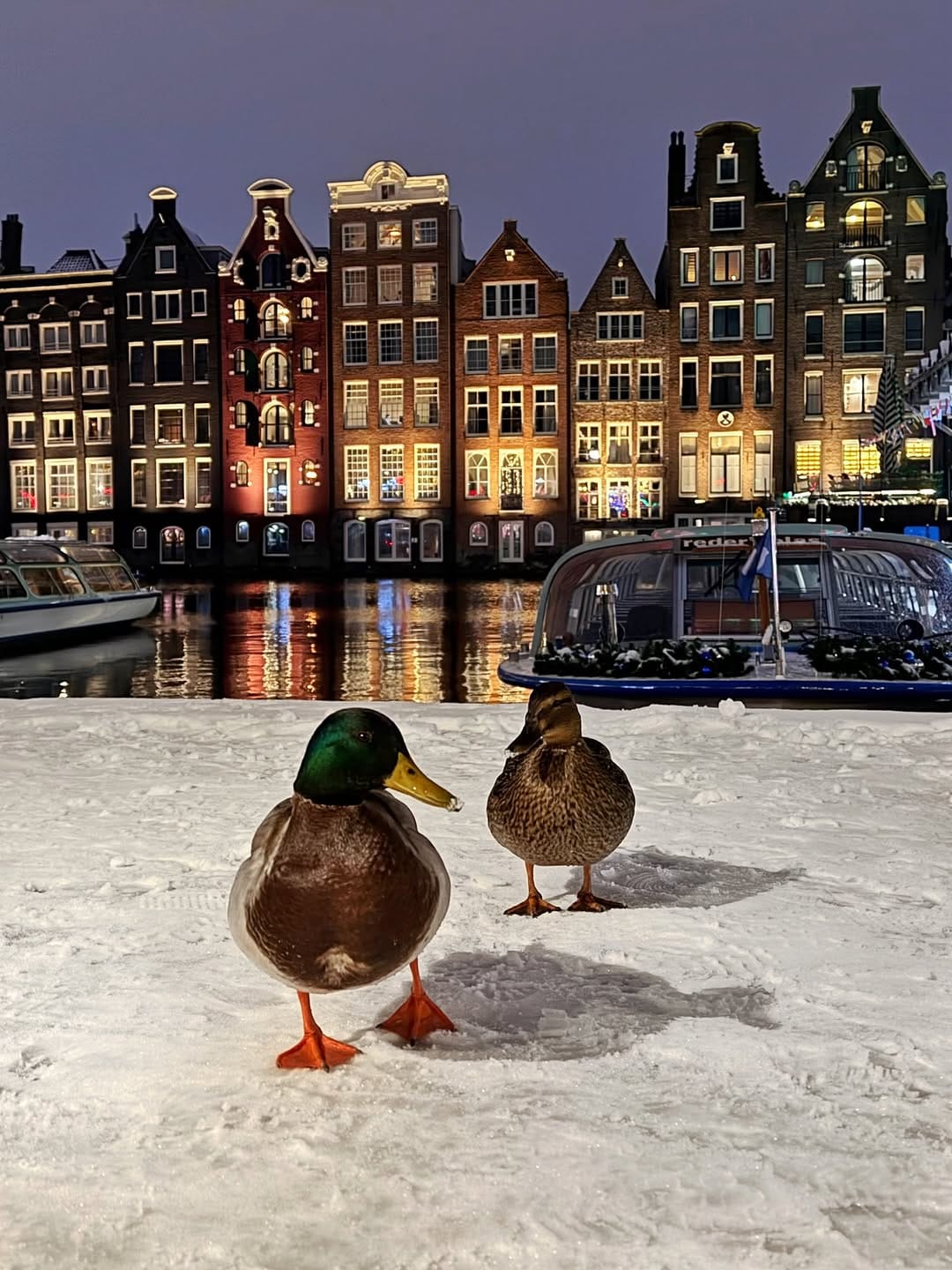 Post 9 by iPhone Travel Photography Amsterdam🇳🇱NL on Instagram (carousel)