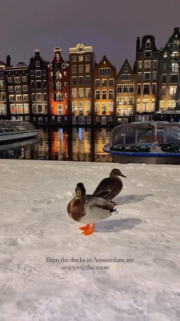 Post 8 by iPhone Travel Photography Amsterdam🇳🇱NL on Instagram (video)